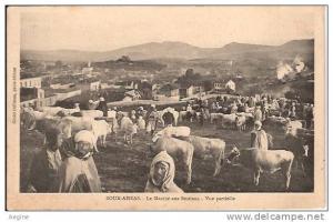 ALGERIE- ref no 470- souk ahras -le marche aux bestiaux -vue partielle - bon etat