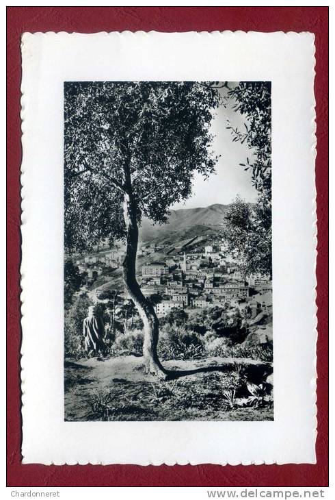 CPSM ALGERIE - Phillipeville Vue Générale - Parfait état - ALGERIA AFRIQUE AFRICA Card Carte