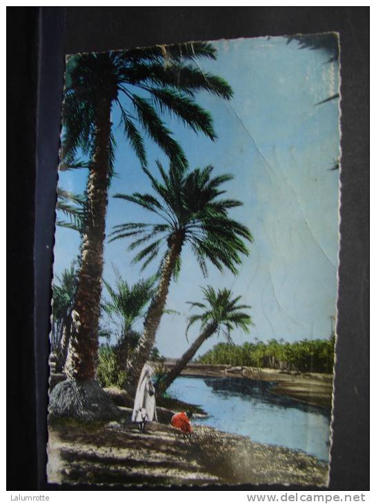 Philippeville. 2. La Rivière