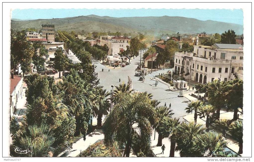 CPA , Algérie , Skikda , Animation