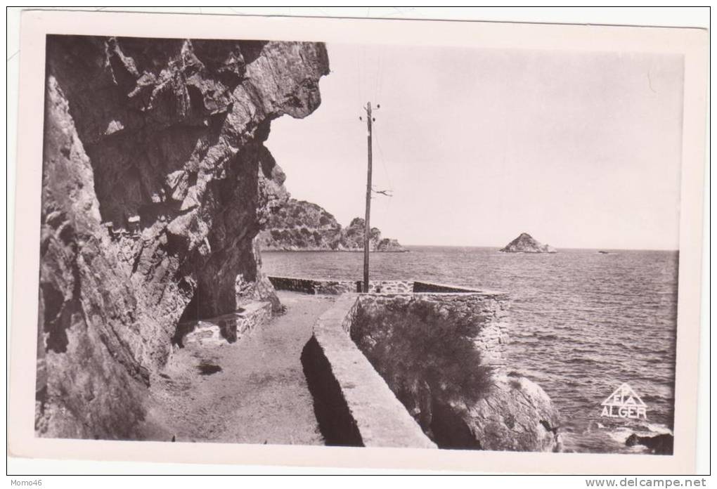 CSM  - 13. PHILIPPEVILLE - La Corniche