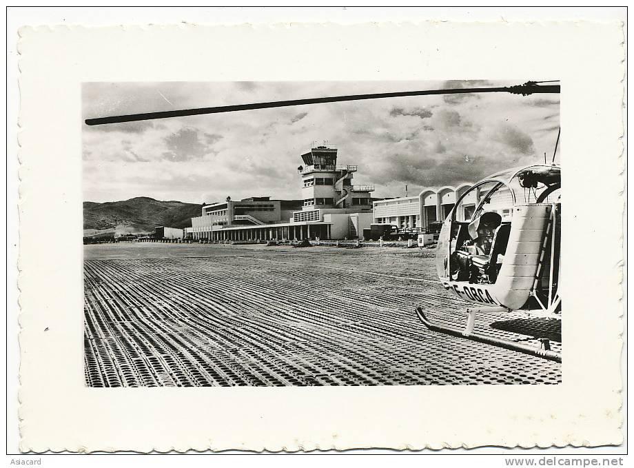 Philipeville 14 H L' Aeroport Aerodrome avec Helicoptère F OBCA année 50 Airport
