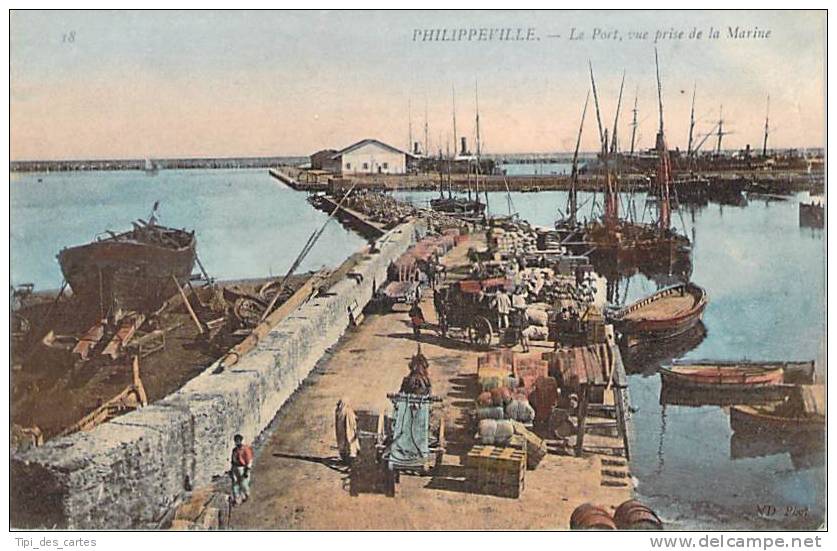 Algérie - Philippeville - le Port, vue prise de la Marine