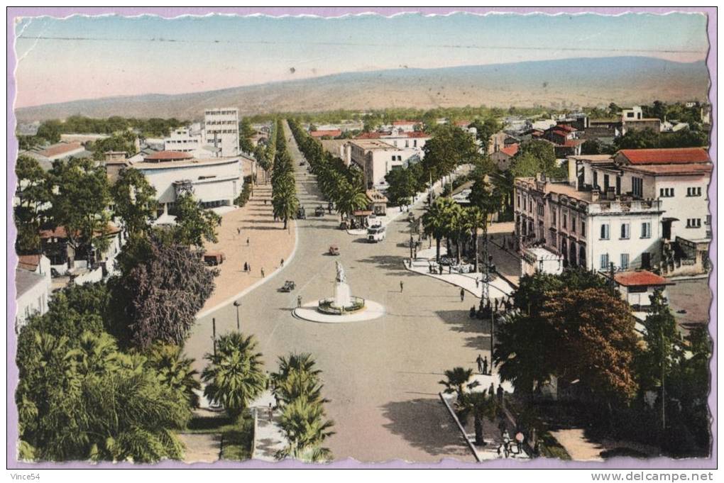 PHILIPEVILLE - L´Avenue Raymond Barrot Peugeot 202 Jeep Hotchkiss Ed. CAP n° 112 circulé 1954