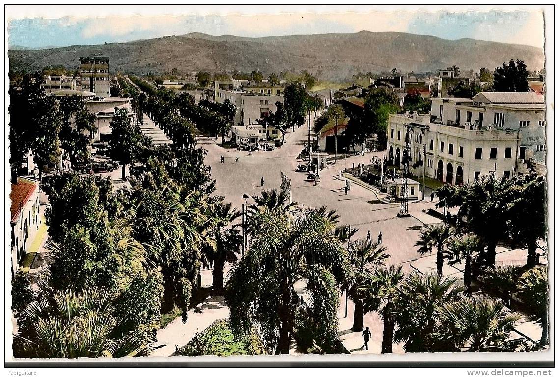 cpsm bon etat ,   philippeville , place wagram , et avenue barrot