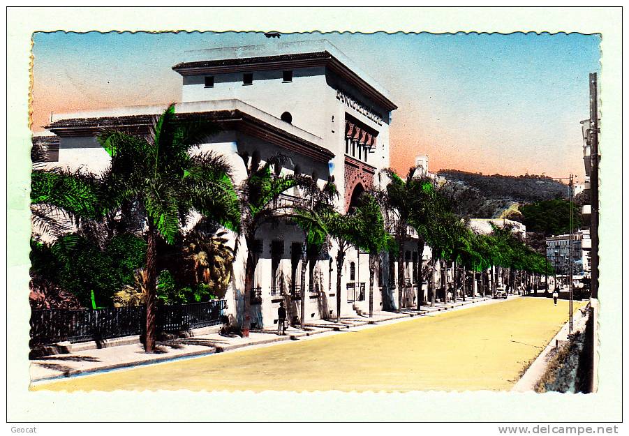 CPSM  ALGERIE PHILIPPEVILLE Avenue de la Republique et la Banque de l´Algerie