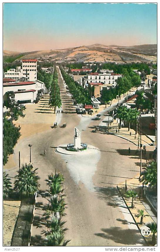 PHILIPPEVILLE - Les Allées Barrot - Monument du 3e Zouaves (Ed. A. Sirecky, 38)