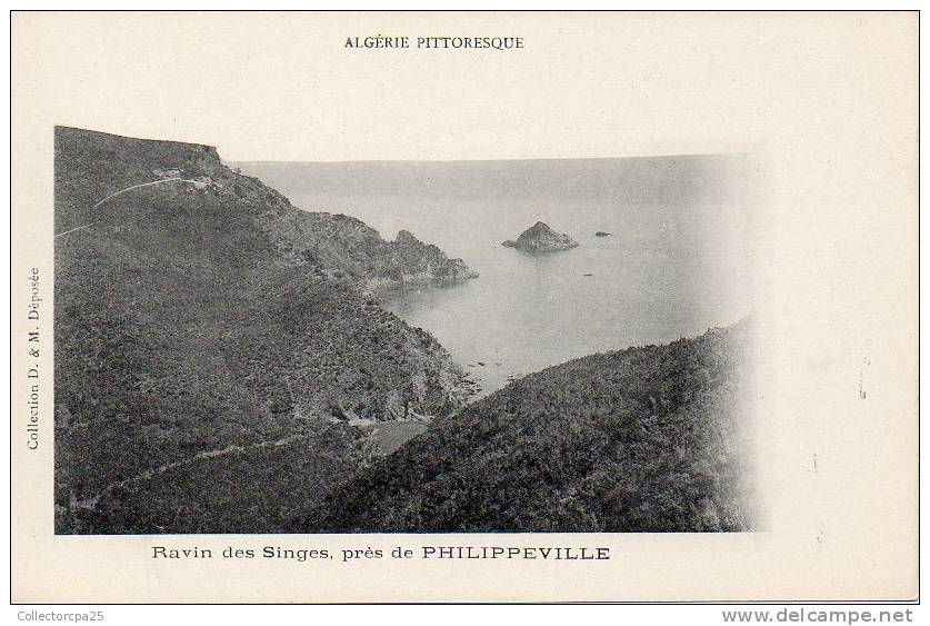 Algérie Pittoresque - Skikda Philippeville - Ravin des Singes près de Philippeville