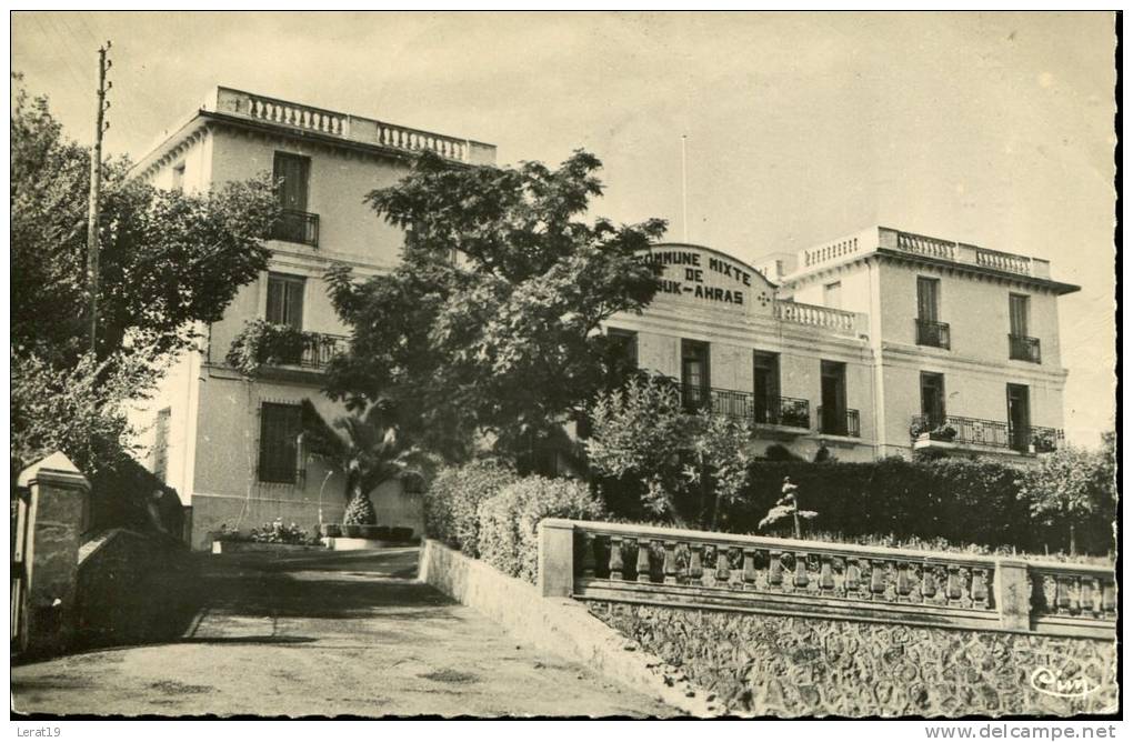 ALGERIE / SOUK AHRAS / COMMUNE MIXE  ECRITE ‹(•¿• )›