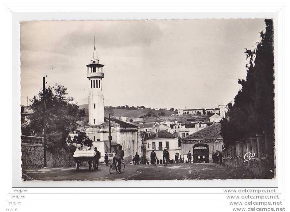 SOUK AHRAS  LA MOQUEE  CARTEE  CIRCULEE   ANIMEE