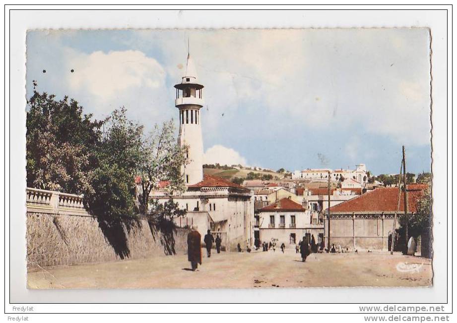 SOUK AHRAS   LA  MOSQUEE CARTE CIRCULEE