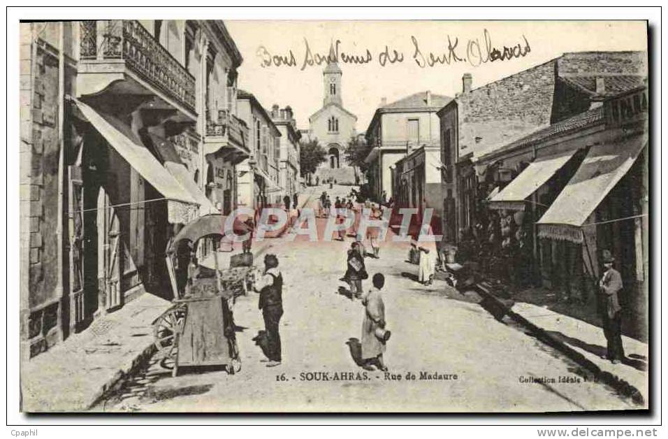 CPA Souk Ahras Rue de Madaure