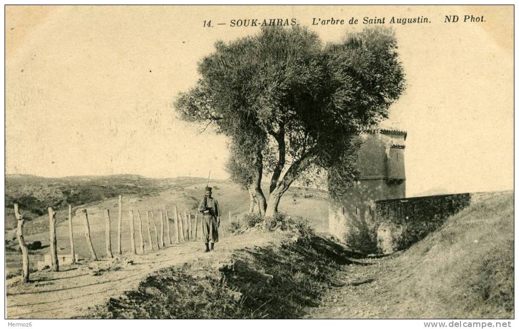 souk ahras arbre de saint augustin ND phot 14 carte animée soldat