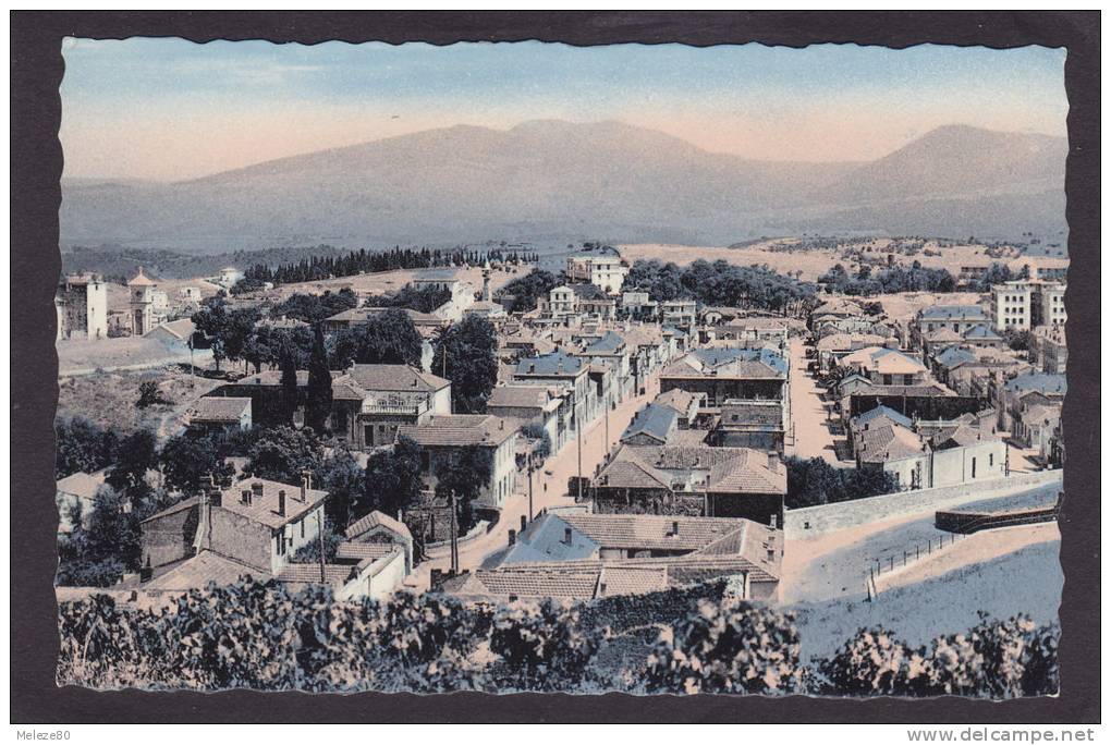 Algérie  SOUK-AHRAS  Vue Générale  vers 1950