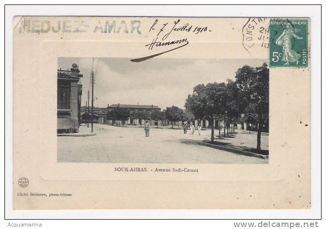 SOUK AHRAS - Avenue Sadi-Carnot - cartolina FP V 1910