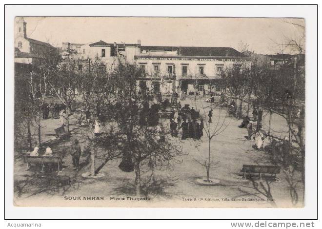 SOUK AHRAS - Place Thagaste, animata - cartolina FP V 1906