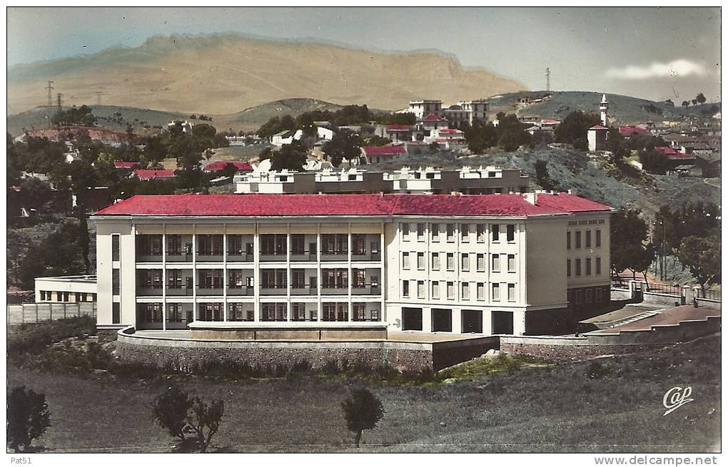 ALGERIE -  Souk Ahras  L'Ecole de Garçons dite de Constantville