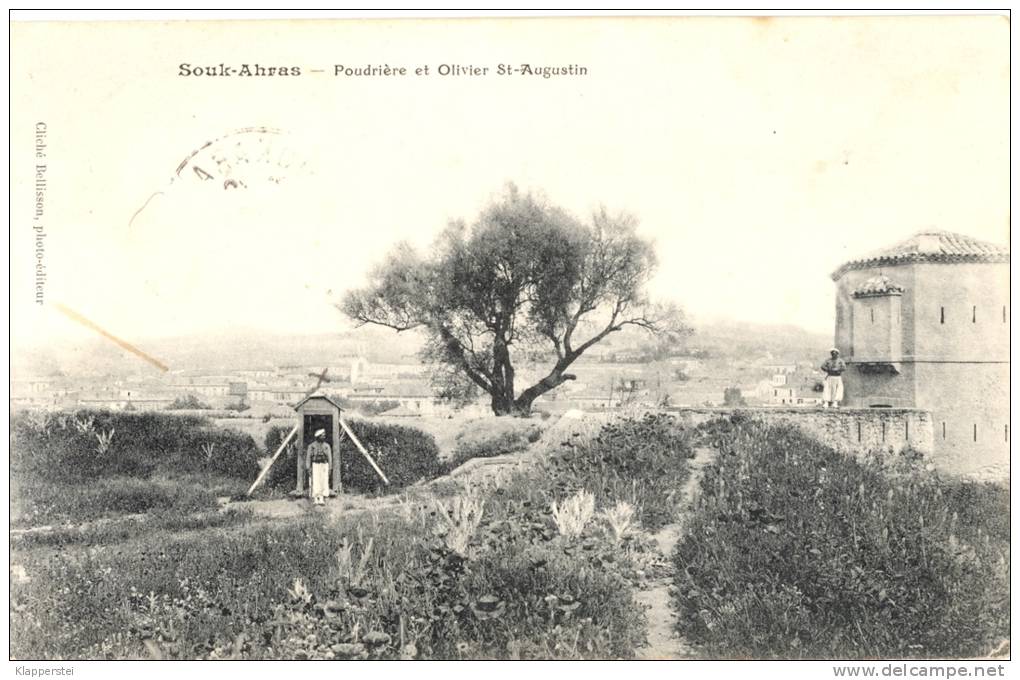 ALGERIE SOUK-AHRAS / Poudrière et olivier St Augustin