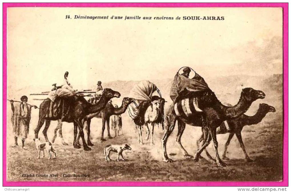 Déménagement d'une famille aux environs de Souk-Ahras - BOUSDIRA