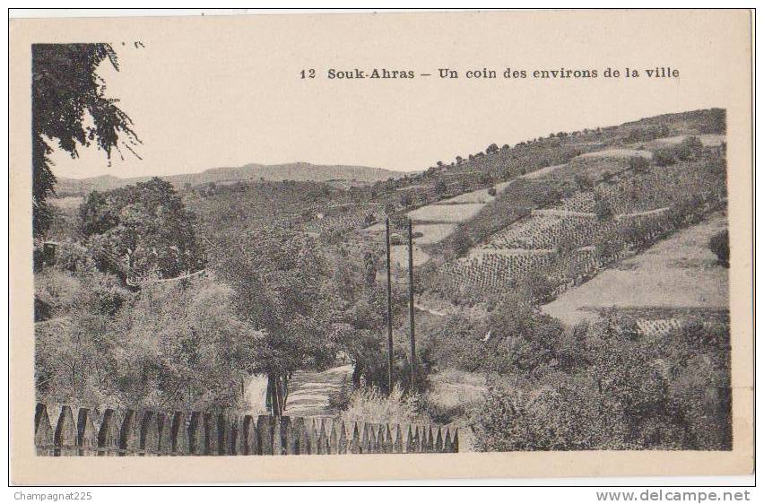 CPA ALGERIE SOUK AHRAS Un Coin des Environs de la Ville