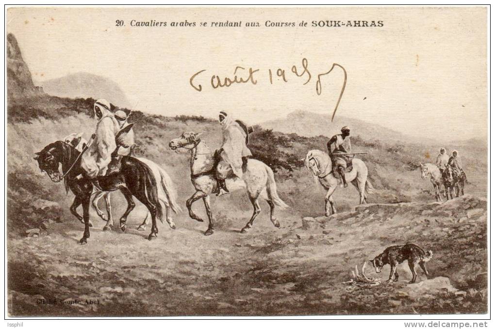 Cavaliers arabes se rendnat aux courses de Souk Ahras