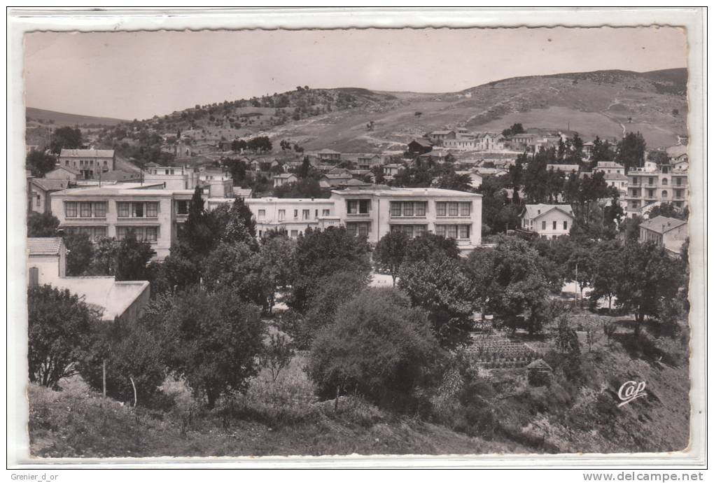 Souk-Ahras le frais vallon