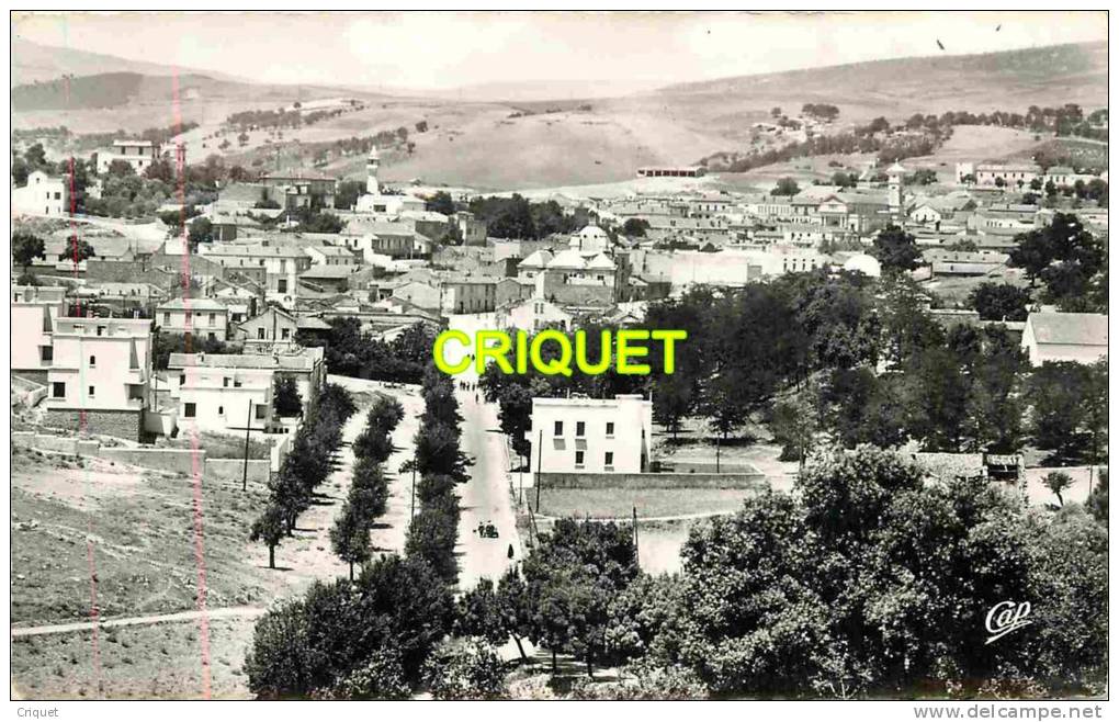 Algérie, cpsm Souk Ahras, vue générale
