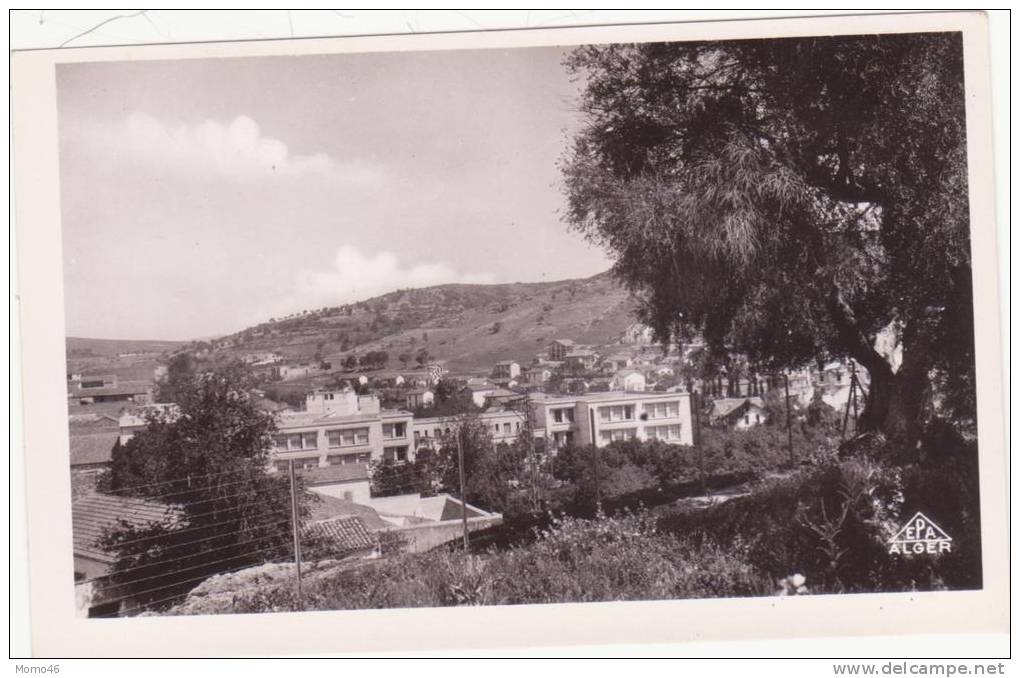 CSM  - SOUK AHRAS - 1. Vue partielle et Olivier St-Augustin