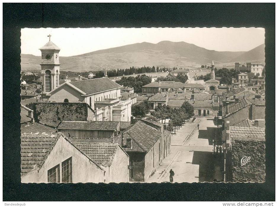 CPSM - Algérie - SOUK AHRAS - Vue sur l' Eglise et la Mosquée ( vue aérienne CAP )