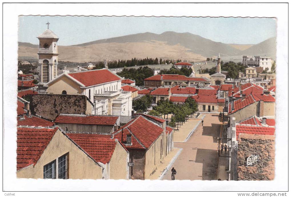 Souk-Ahras       Vue sur l'Eglise et sur la Mosquée