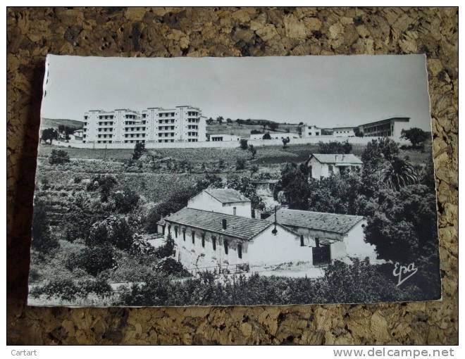 SOUK AHRAS LA GARDE MOBILE @ VUE RECTO/VERSO AVEC BORDS