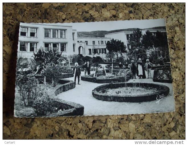 SOUK AHRAS GROUPE SCOLAIRE ET JARDIN PUBLIC ANIMEE  @ VUE RECTO/VERSO AVEC BORDS