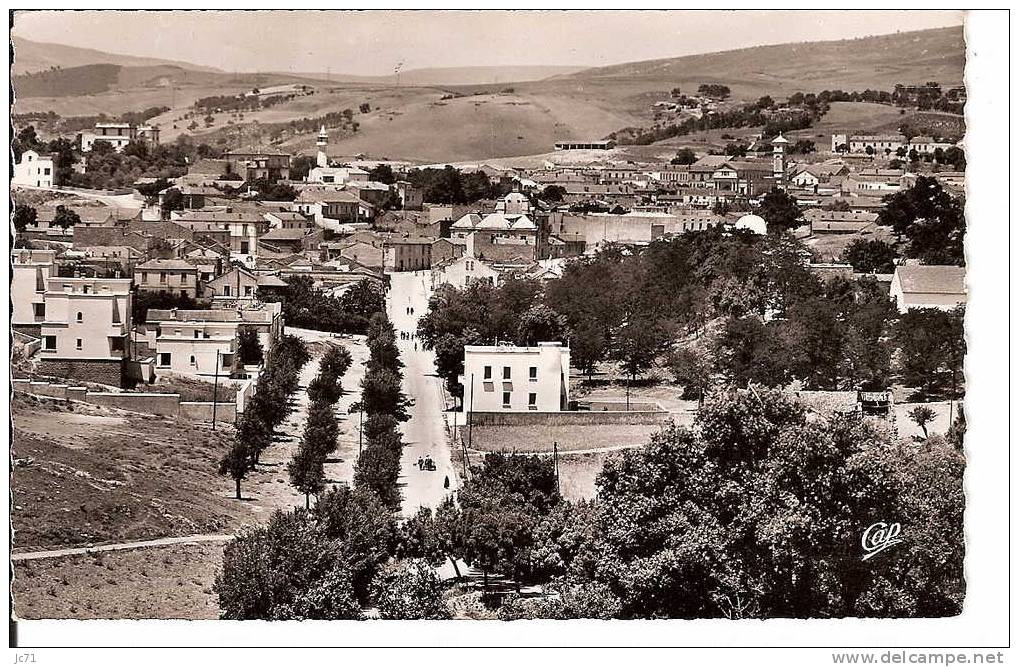 Algérie - Souk Ahras -CPSM bel état  -