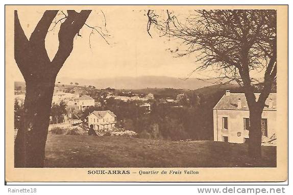 ALGERIE     Souk Ahras  Quartier du frais Vallon