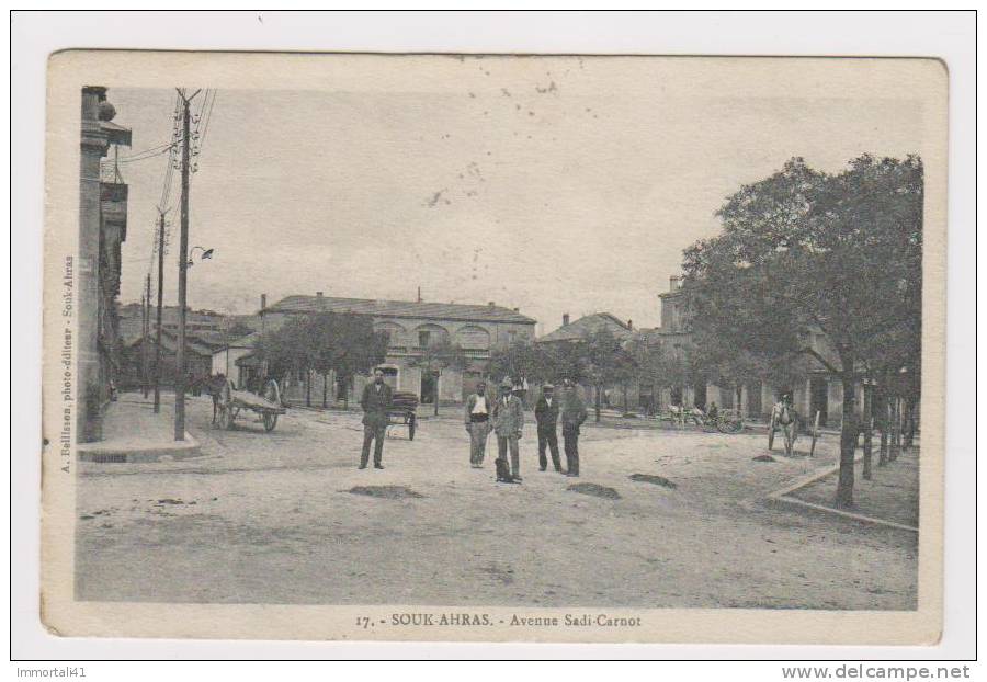 Algerie - 17 - Souk Ahras - Avenue Sadi-Carnot Vg