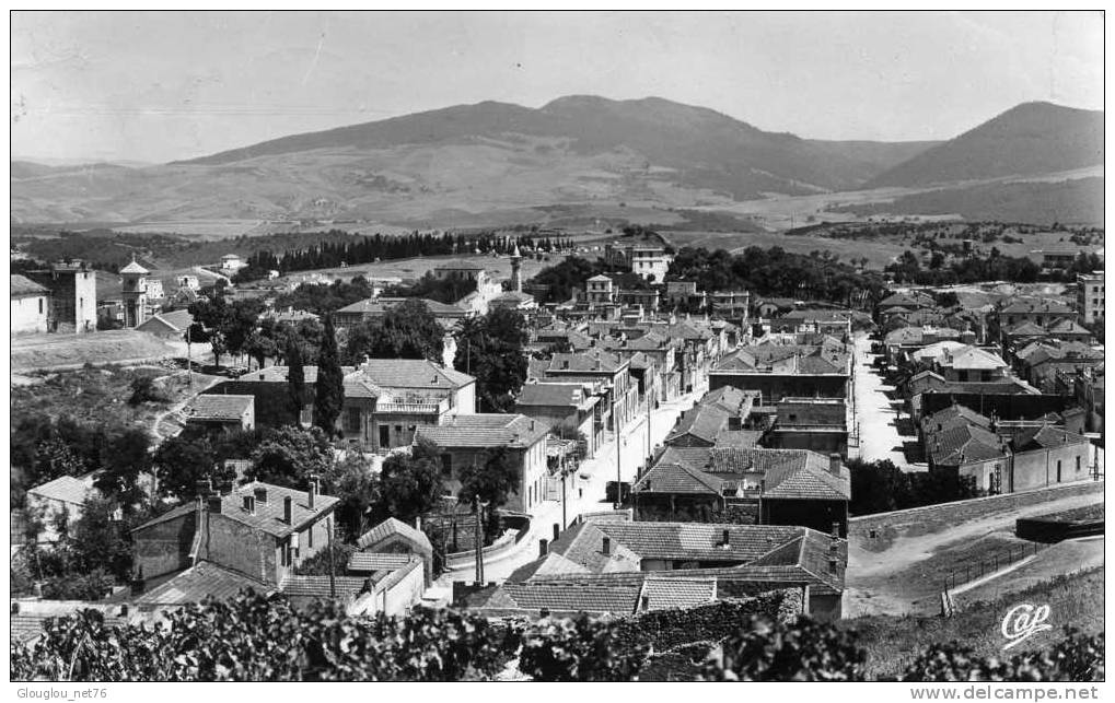 SOUK-AHRAS....VUE GENERALE......CPSM PETIT FORMAT