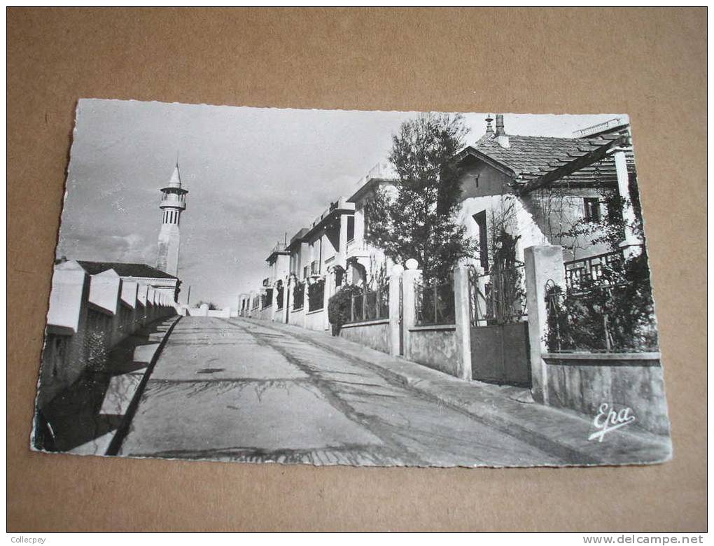 CPSM SOUK AHRAS Esplanade Paul Doumer