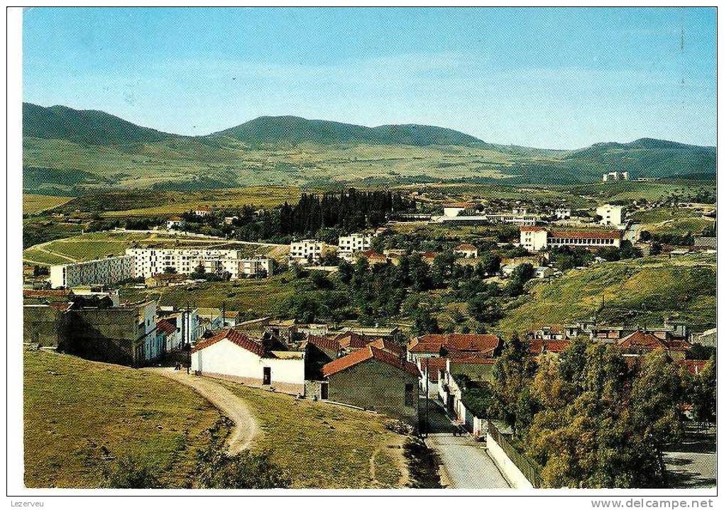 CP ALGERIE SOUK AHRAS VUE GENERALE