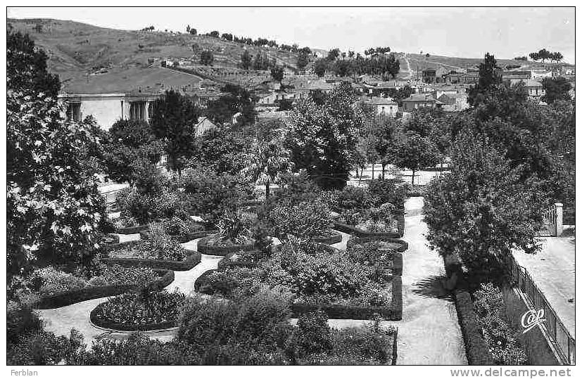 AFRIQUE. ALGERIE. SOUK AHRAS. Vue sur Le Jardin Public. Carte Dentelée.