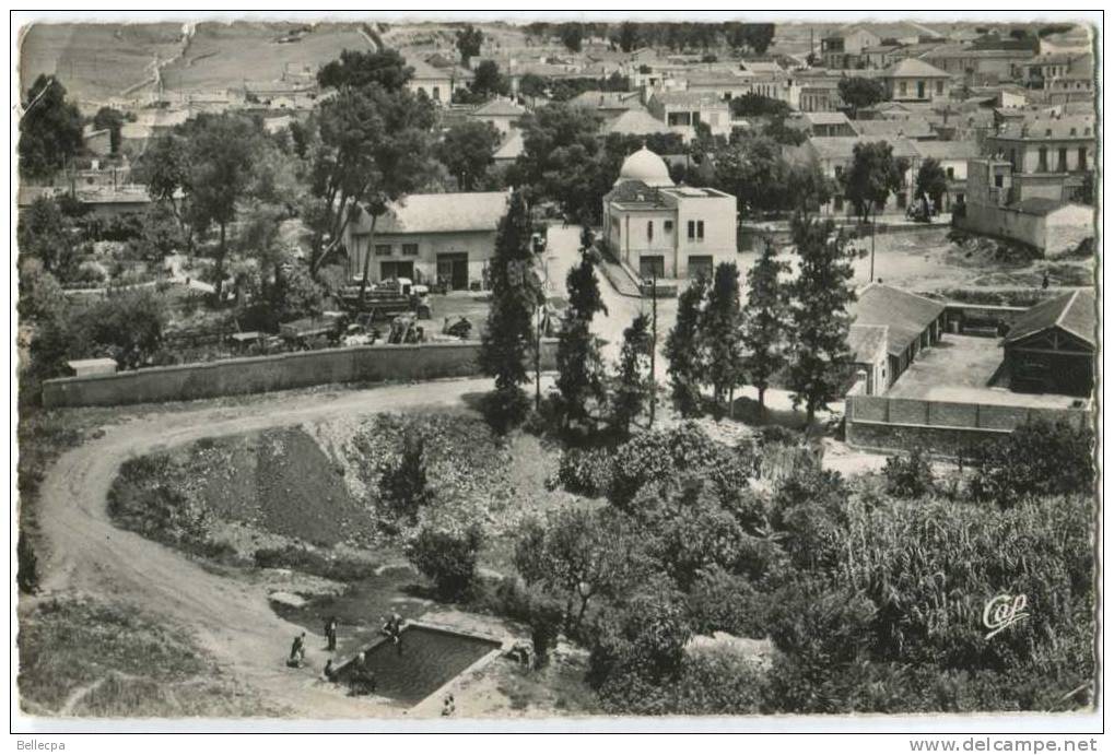 ALGERIE SOUK AHRAS CPSM Quartier Saint Jacques
