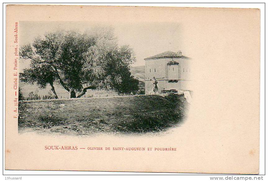 Carte Postale Ancienne Souk Ahras - Olivier de Saint Augustin et poudrière - Arbres
