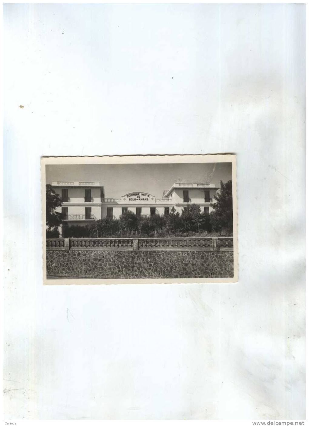 CP SOUK AHRAS COMMUNE MIXTE EN 1949