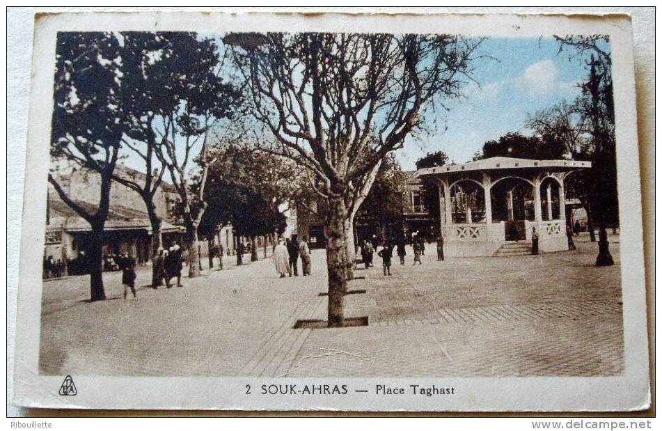 Algérie - CP N° F410 - Souk Ahras - CPSM/E