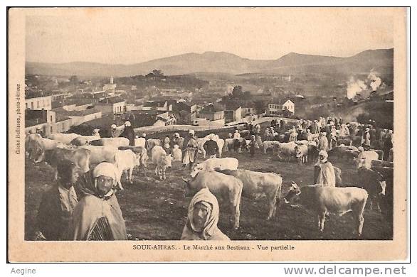 ALGERIE- ref no 470- souk ahras -le marche aux bestiaux -vue partielle - bon etat