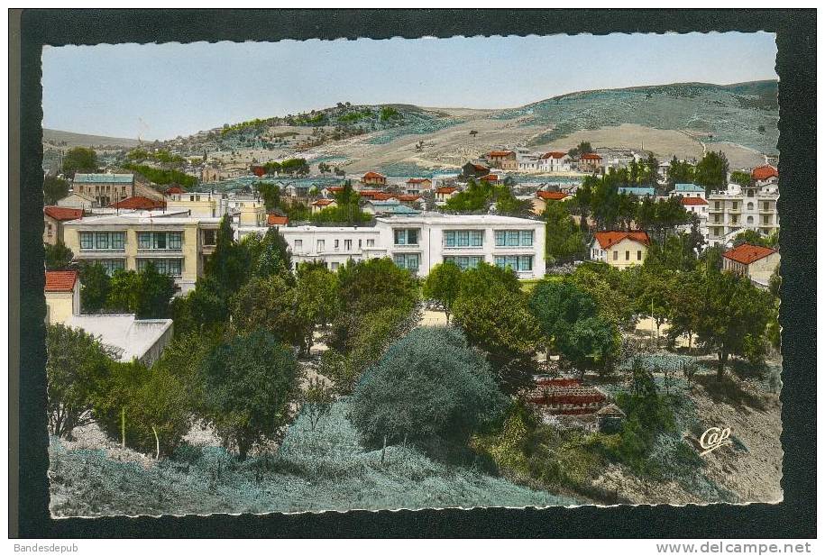 CPSM - Algérie - Souk Ahras - le Frais Vallon ( CAP 2 format CPA)