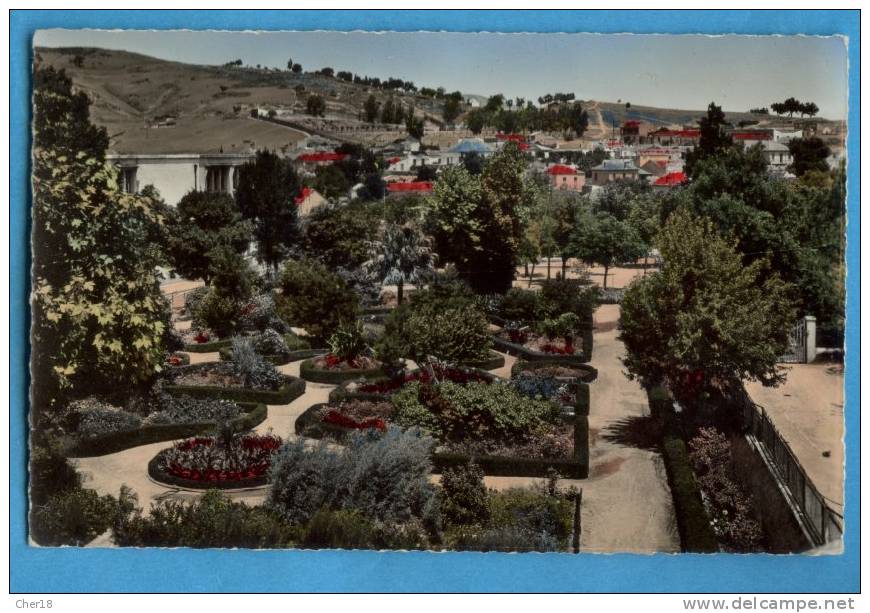 4 Souk Ahras jardin public Ecrite Date 1958