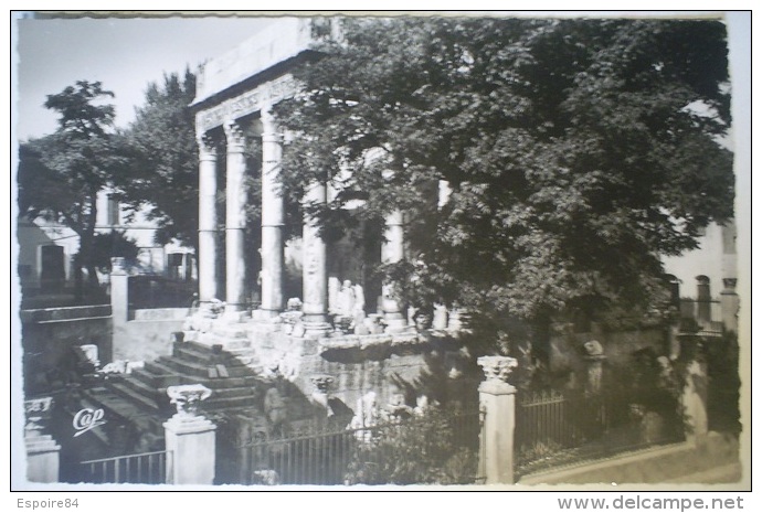 C. Postale  ALGERIE - TEBESSA - Le Temple de Minerve (1956)