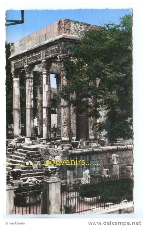 CPSM  ALGERIE   TEBESSA  Temple de Minerve -