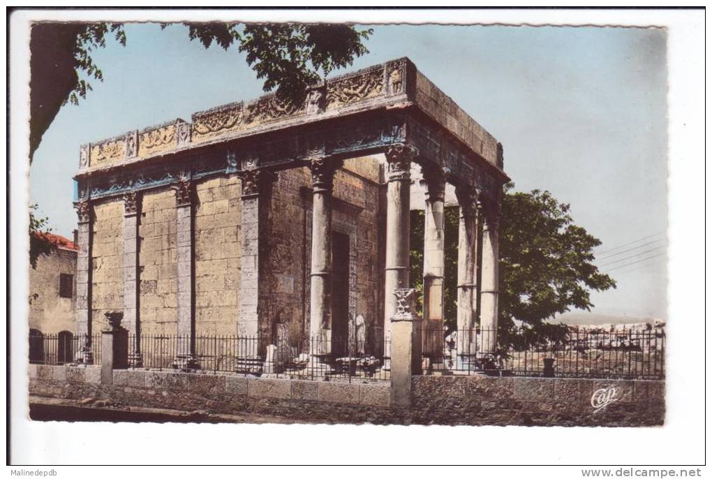CP  - TEBESSA - Le Temple de Minerve
