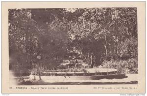 CPA - Tébessa - square Egrot - allée centrale